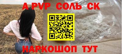 индика Тара