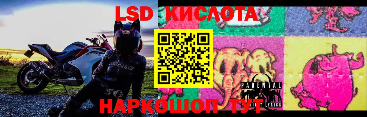ОМГ ОМГ tor  LSD-25 экстази кислота  Вход с VPN  Лсд 25 экстази ecstasy  Новодвинск 